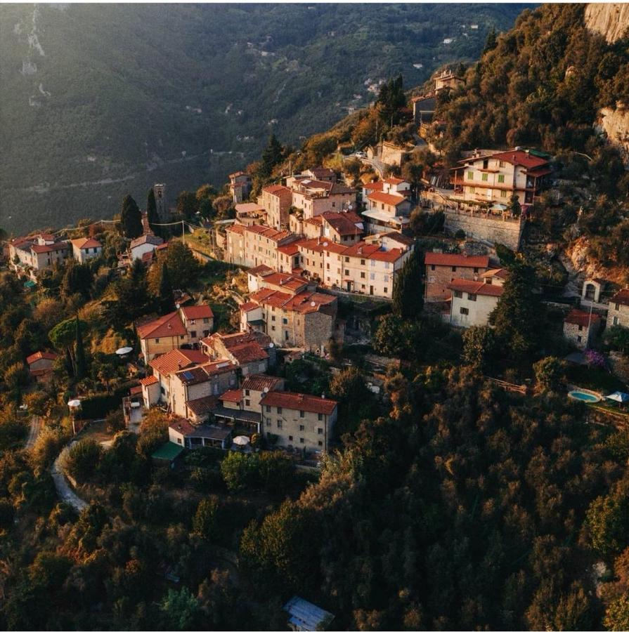 Salvia E Rosmarino Bed & Breakfast Camaiore Dış mekan fotoğraf