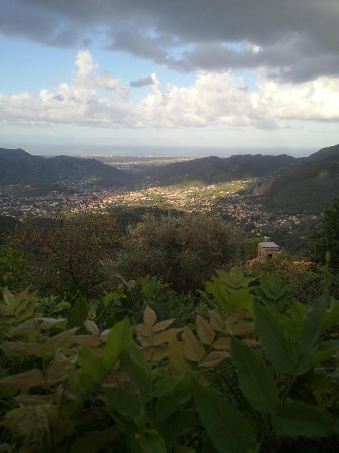 Salvia E Rosmarino Bed & Breakfast Camaiore Dış mekan fotoğraf