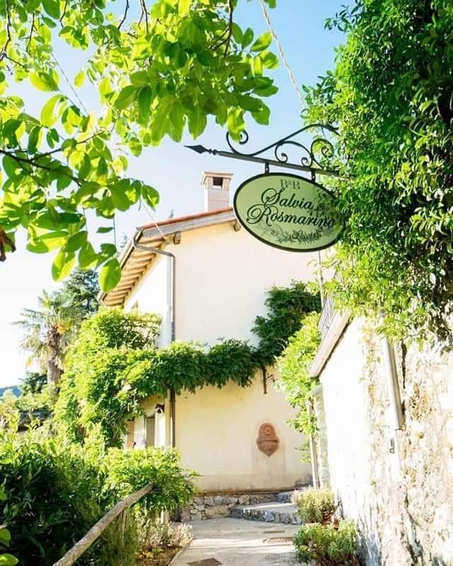 Salvia E Rosmarino Bed & Breakfast Camaiore Dış mekan fotoğraf